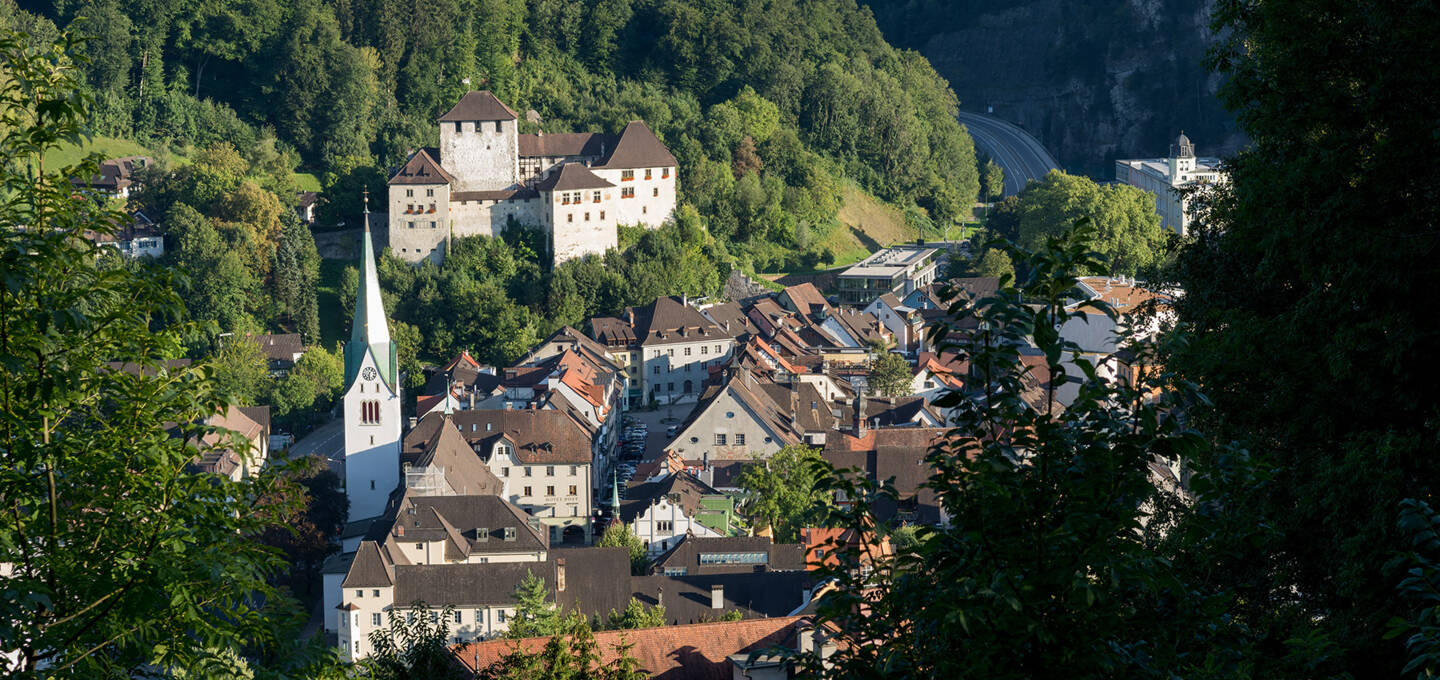 Schattenburg, Vorarlberg Milch