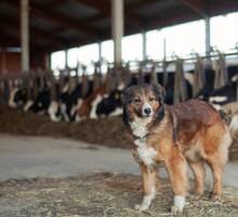 Klaus Kuster 3 Klaus Kuster 3